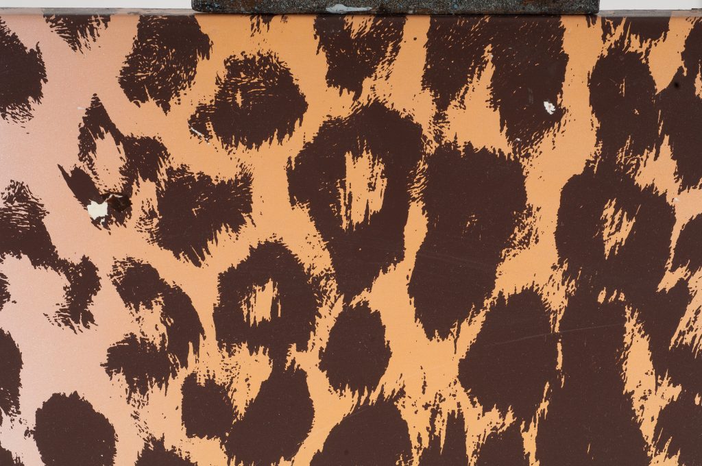 Zoo-geometrico-prima-2-1024x680